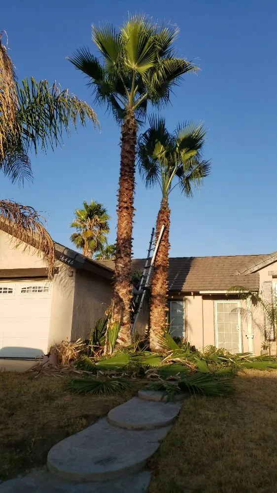 Trusted lawn care service experts serving Perris, CA - Zacarias Landscaping