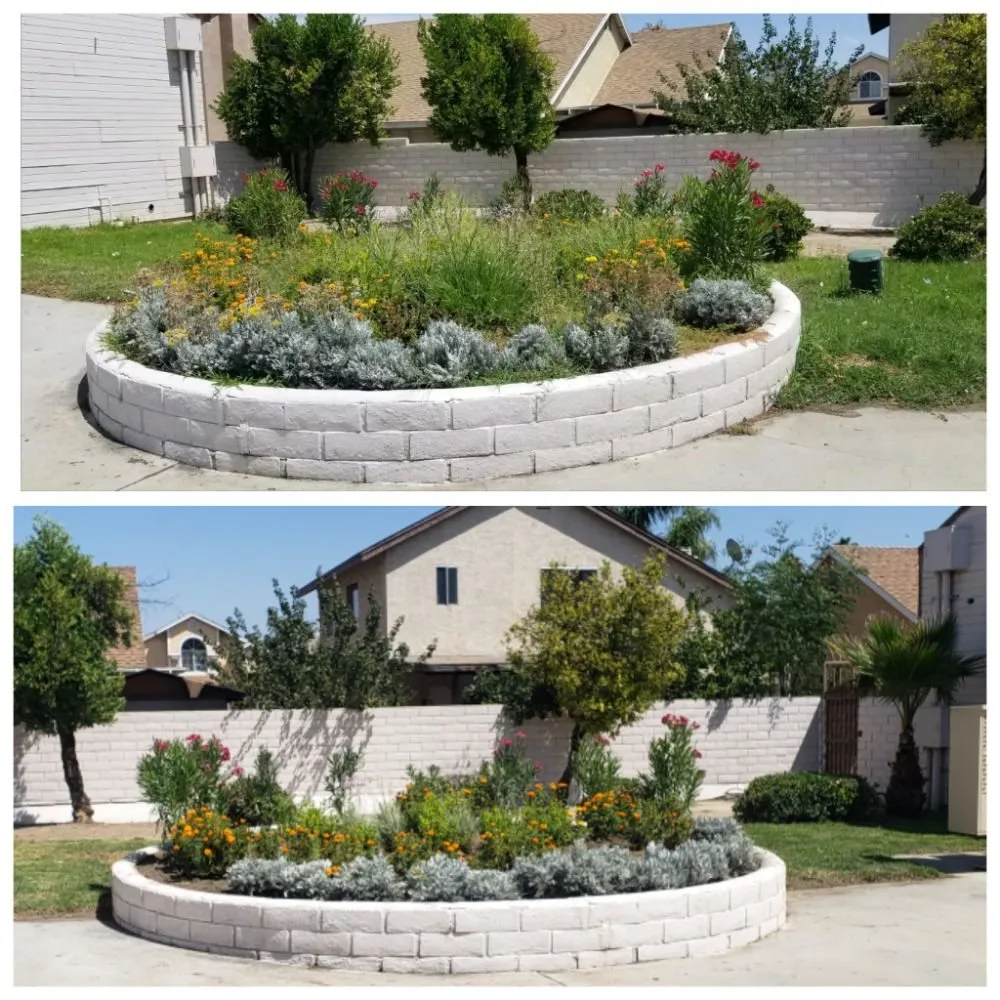 Affordable landscape design near you across Perris, CA - Zacarias Landscaping