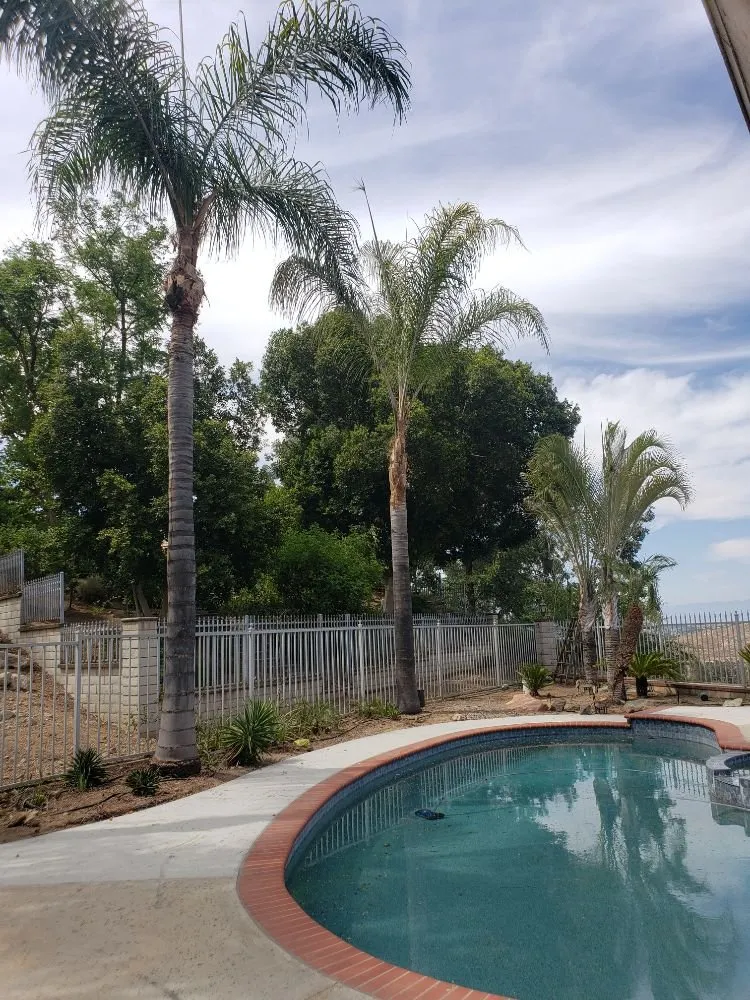 Professional yard maintenance in Perris, CA by Zacarias Landscaping