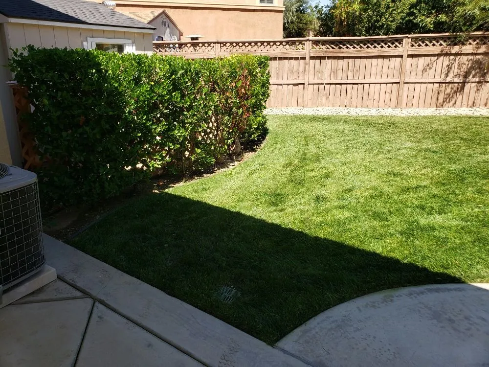 Trusted yard maintenance in Perris, CA - Zacarias Landscaping