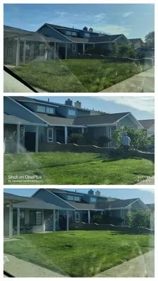 Zacarias Landscaping Logo