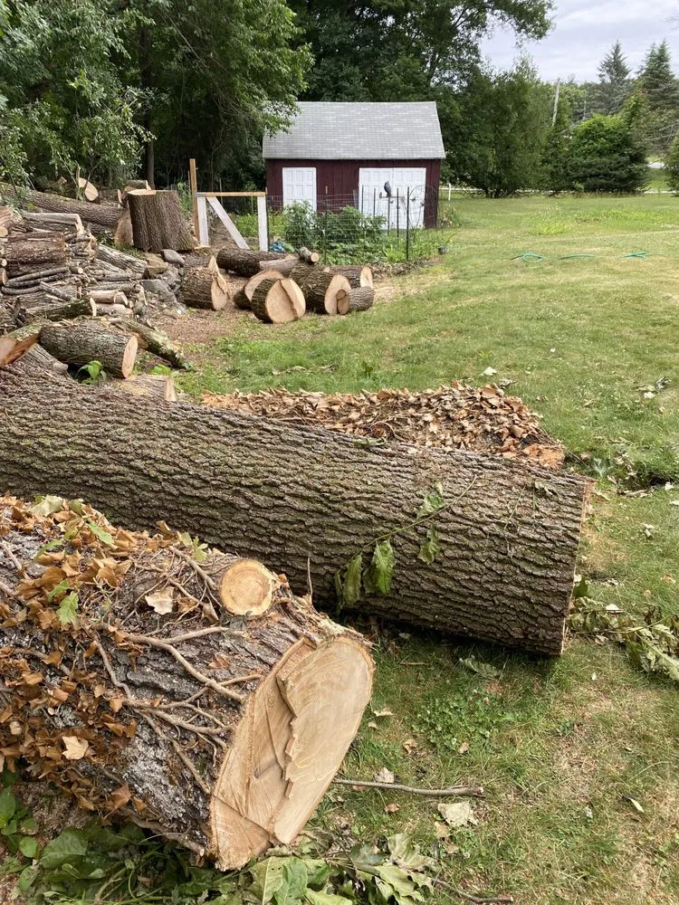 Affordable landscaping services experts serving Lynn, MA - Zacarias Tree & Landscaping