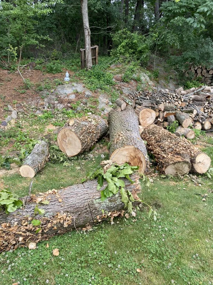 Professional garden landscaping in Lynn, MA - Zacarias Tree & Landscaping