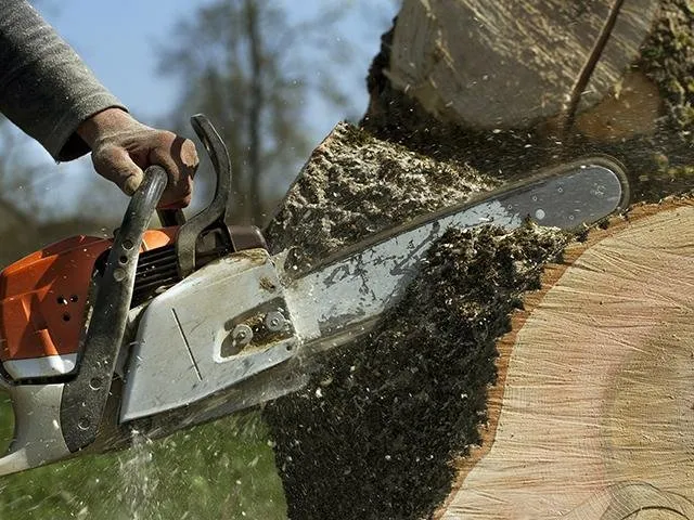 Top-rated residential landscaping in Lynn, MA by Zacarias Tree & Landscaping