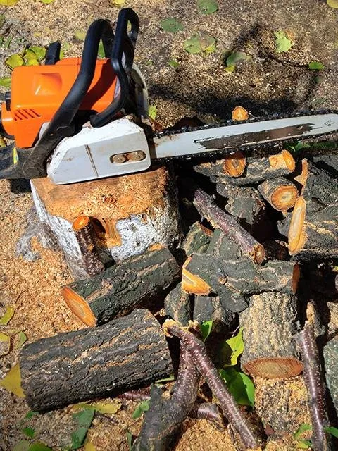 Top-rated residential landscaping with custom design across Lynn, MA - Zacarias Tree & Landscaping