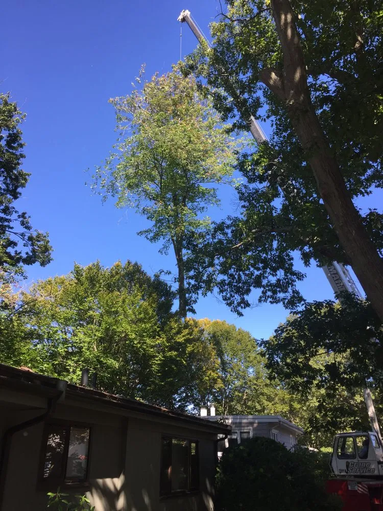 Trusted residential landscaping in Lynn, MA - Zacarias Tree & Landscaping