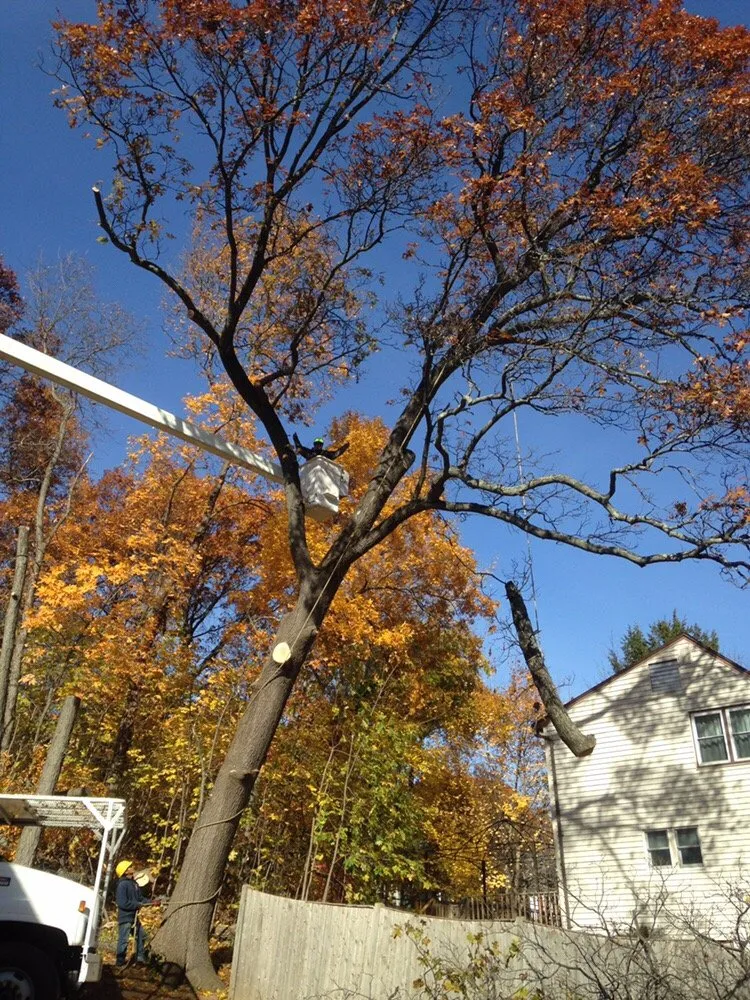 Trusted landscaping services experts serving Lynn, MA - Zacarias Tree & Landscaping