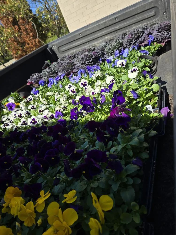 Affordable yard maintenance in Owings Mills, MD by Zac&Flor lawn housekeeping