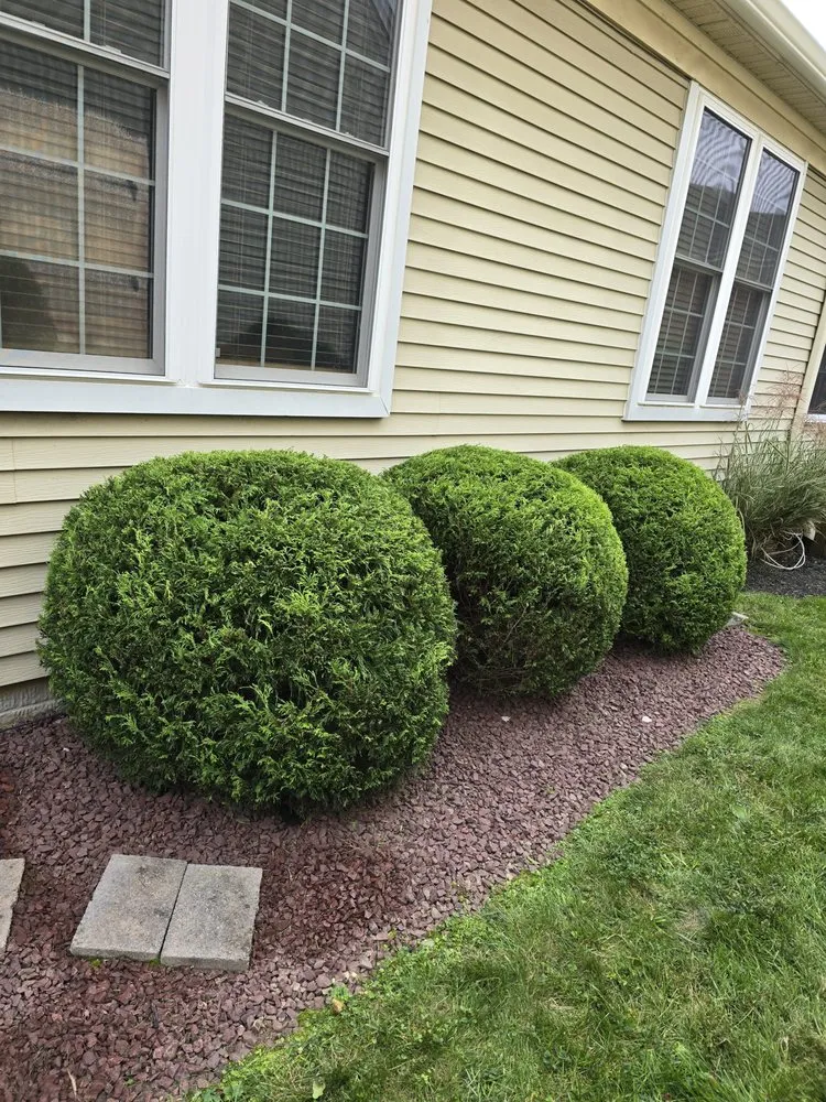 Trusted residential landscaping for outdoor upgrades across Owings Mills, MD - Zac&Flor lawn housekeeping