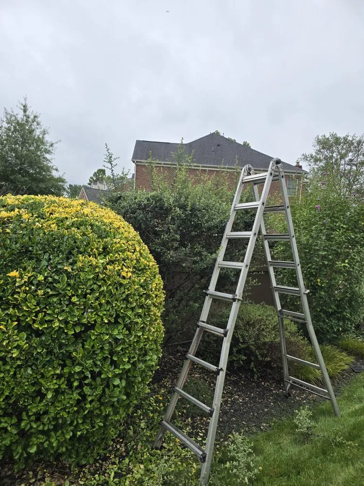 Professional lawn care service near you in Owings Mills, MD by Zac&Flor lawn housekeeping