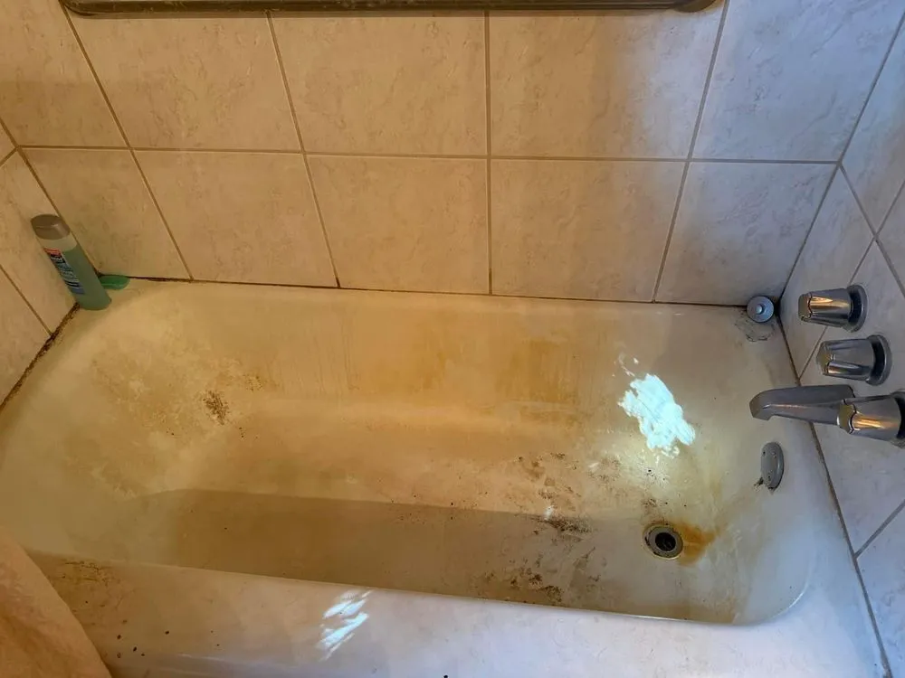 Expert landscape installation in Owings Mills, MD - Zac&Flor lawn housekeeping