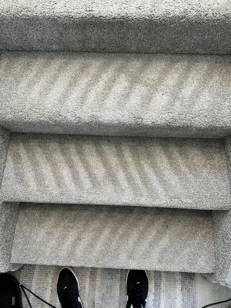 Professional landscaping services experts serving Owings Mills, MD - Zac&Flor lawn housekeeping