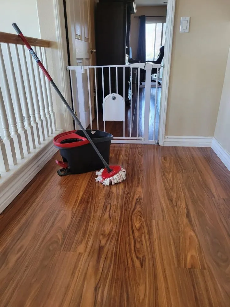 Top-rated landscape installation in Owings Mills, MD by Zac&Flor lawn housekeeping