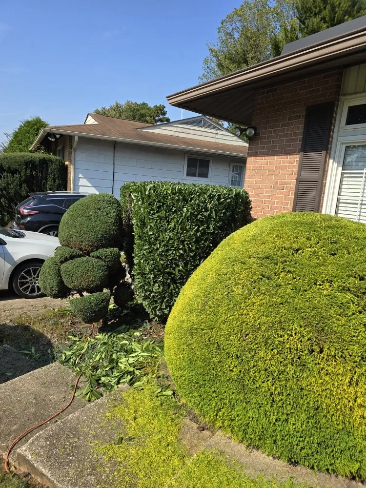 Custom landscaping services for outdoor upgrades in Owings Mills, MD by Zac&Flor lawn housekeeping