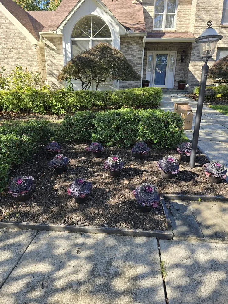 Local garden landscaping experts serving Owings Mills, MD - Zac&Flor lawn housekeeping