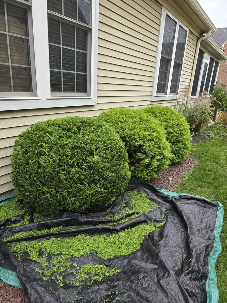 Custom residential landscaping experts serving Owings Mills, MD - Zac&Flor lawn housekeeping