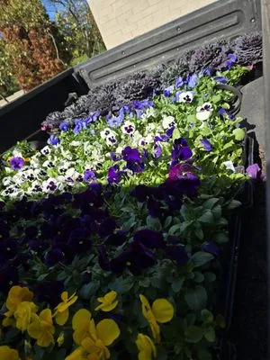 Zac&Flor lawn housekeeping