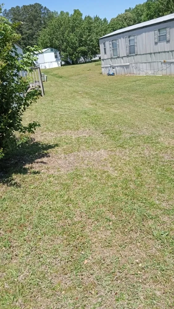 Expert garden landscaping in Rock Hill, SC by Zach Landscaping