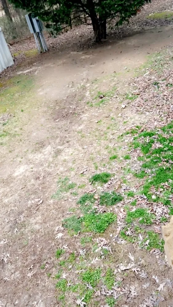 Top-rated yard maintenance in Rock Hill, SC by Zach Landscaping