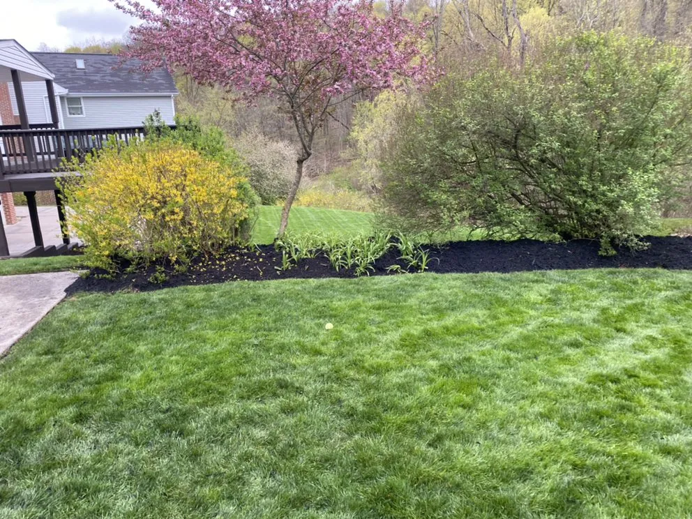 Custom lawn care service experts serving Bethel Park, PA - Zach Lawn Care And Landscape