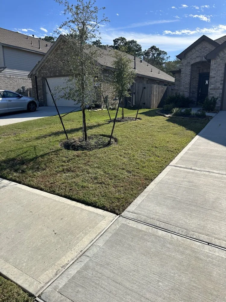 Expert lawn care service for outdoor upgrades in Houston, TX by Zachary Scott Lawn Service