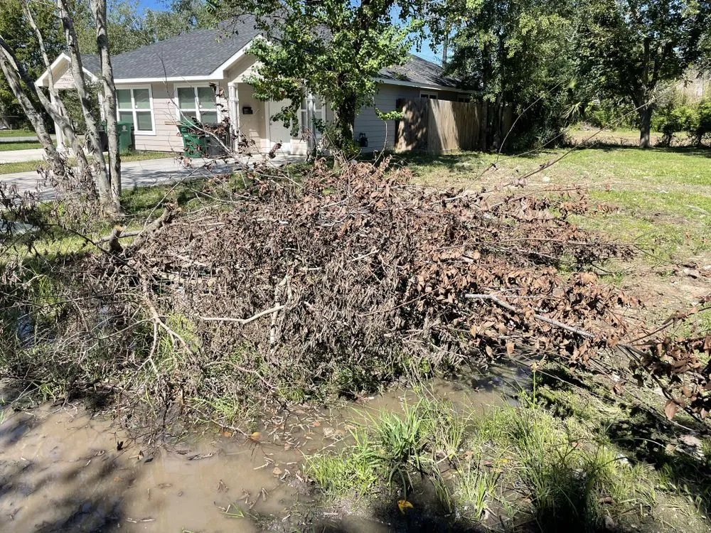 Local outdoor landscaping experts serving Houston, TX - Zachary Scott Lawn Service