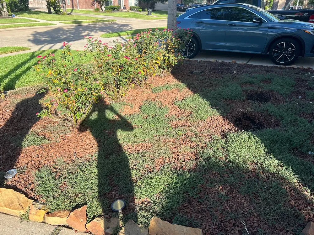 Affordable yard maintenance in Houston, TX - Zachary Scott Lawn Service