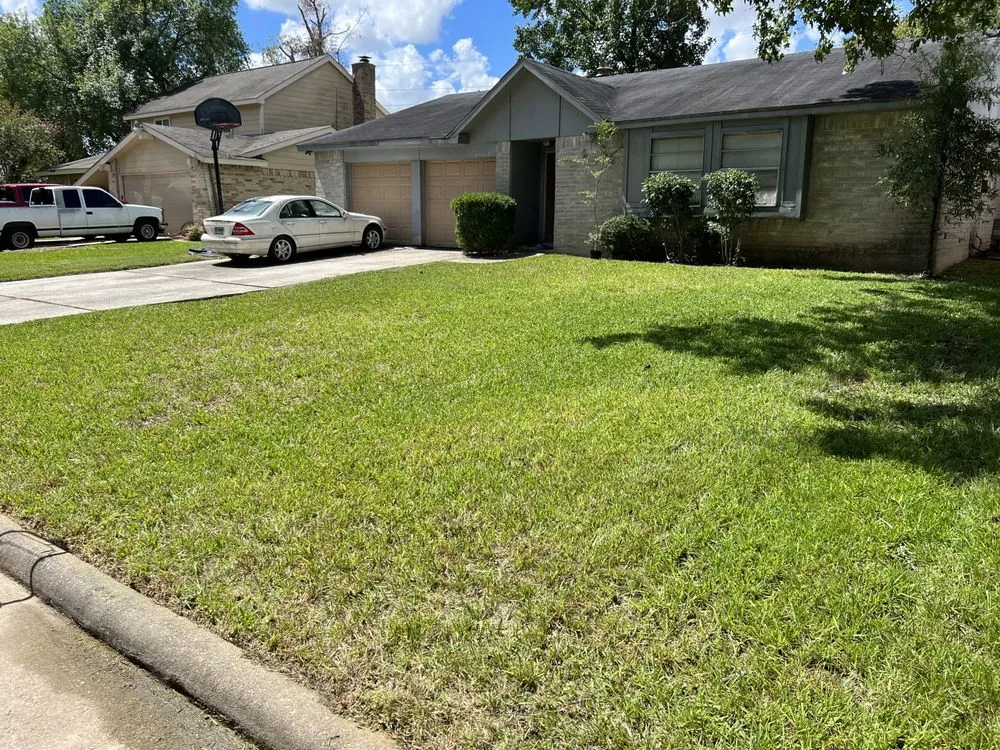 Expert yard cleanup service with custom design across Houston, TX - Zachary Scott Lawn Service