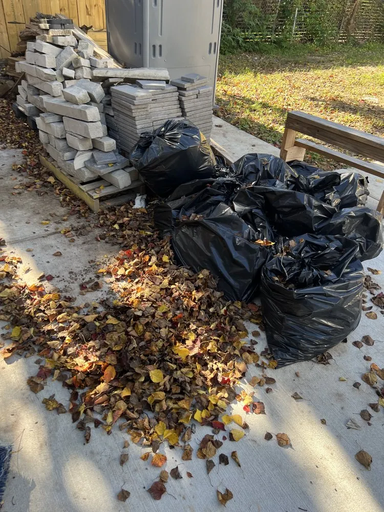 Top-rated yard maintenance experts serving Houston, TX - Zachary Scott Lawn Service