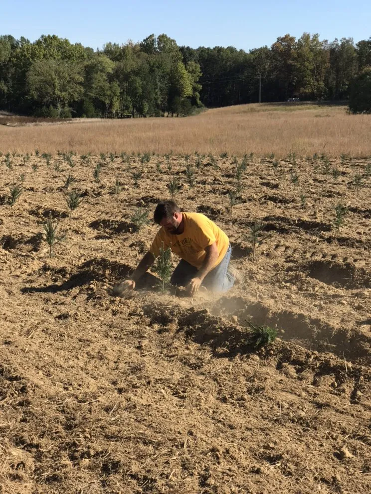 Expert residential landscaping in Williamsburg, VA by Zachary Wolicki Landscapes