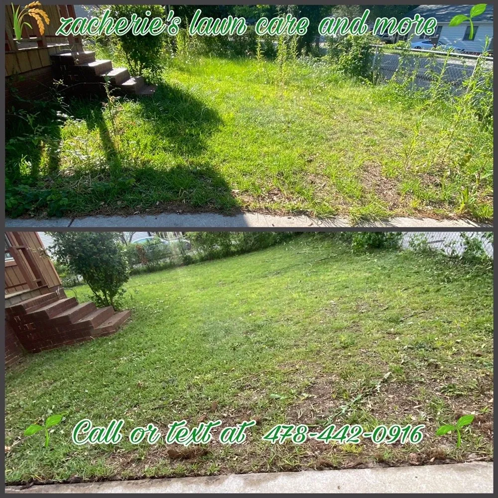 Expert lawn care service in Warner Robins, GA by Zacherie's Lawn Care and More