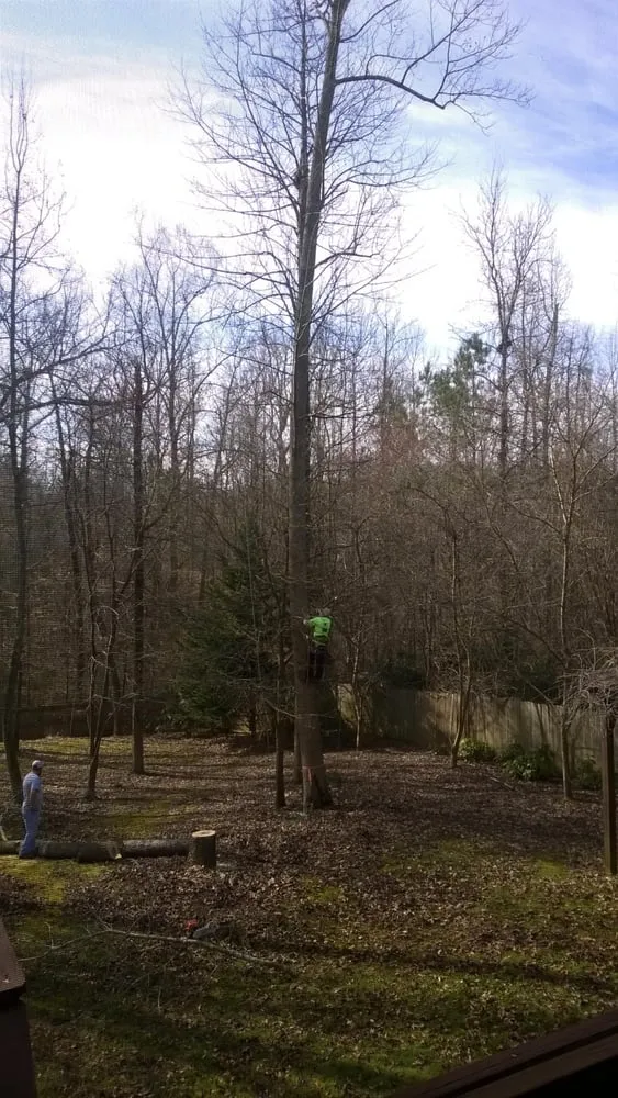 Affordable landscaping services in Ball Ground, GA - Zach's Grading & Tree Removal
