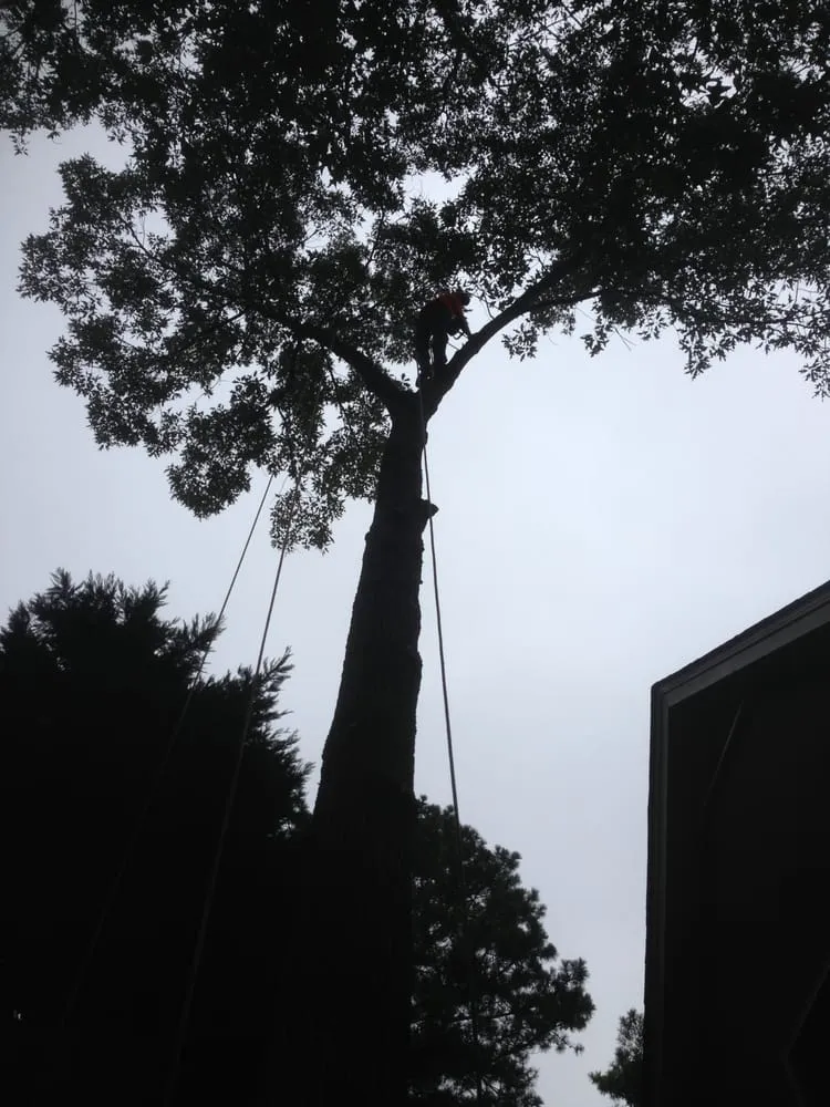 Custom landscaping services in Ball Ground, GA - Zach's Grading & Tree Removal