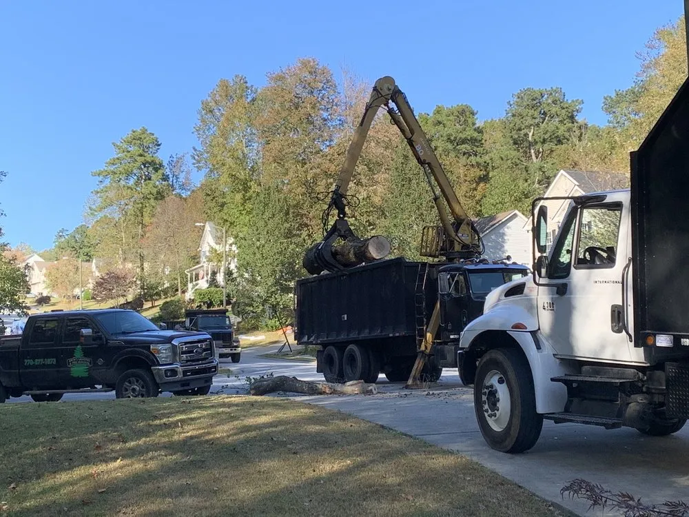 Top-rated yard maintenance in Ball Ground, GA by Zach's Grading & Tree Removal