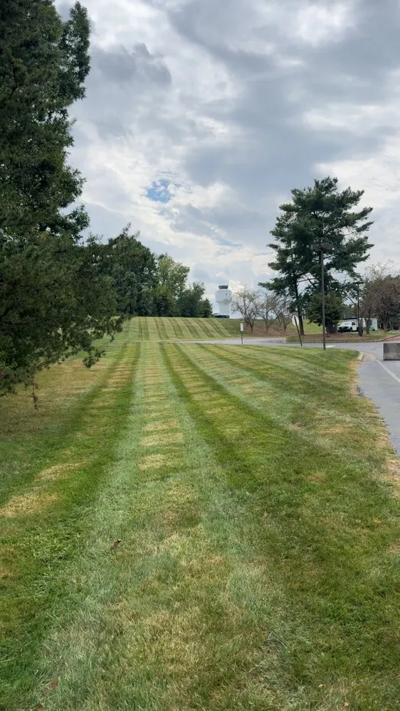 Professional landscaping services in Eden, NC - Zach’s Lawn Care and Landscaping