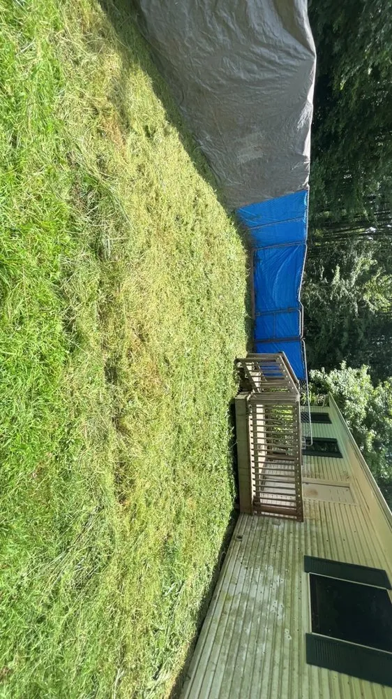Trusted landscape installation in Commiskey, IN - Zachs lawn care