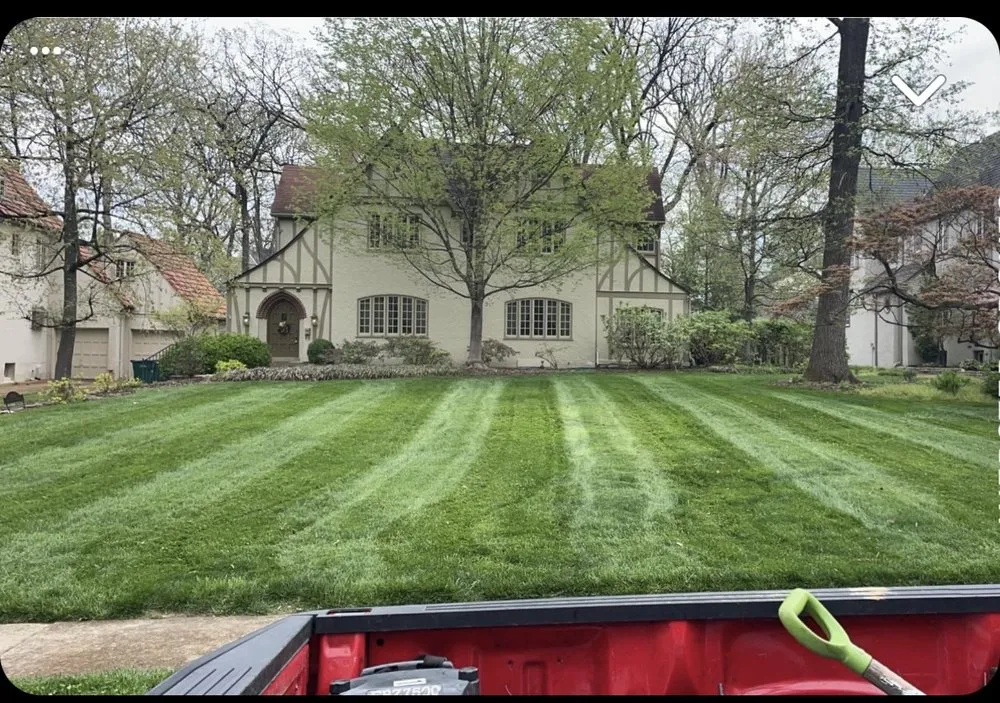 Reliable yard cleanup service in Pevely, MO - Zachs Lawn Care