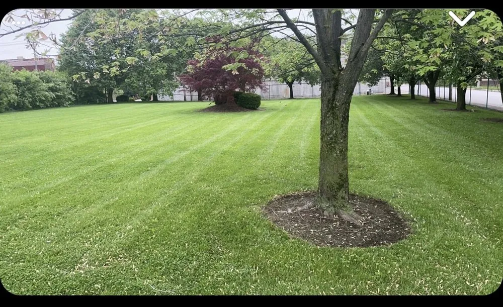 Top-rated residential landscaping in Pevely, MO by Zachs Lawn Care