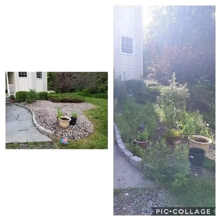 Top-rated yard cleanup service for year-round maintenance across Pine Bush, NY - Zach’s Lawn Care