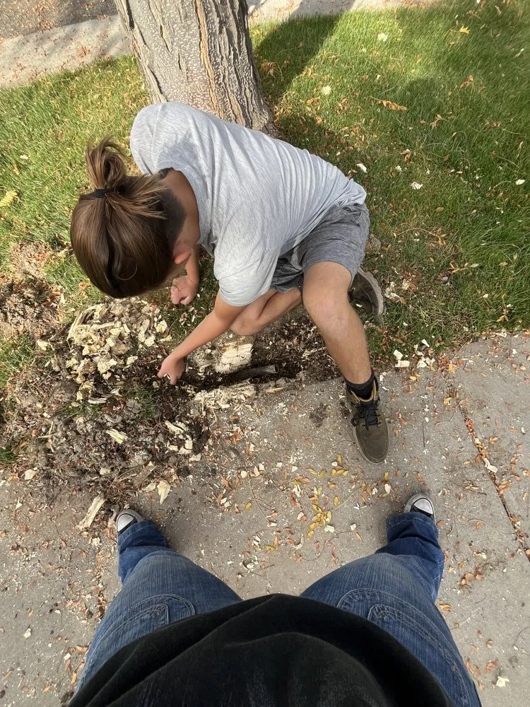 Affordable yard cleanup service for residential properties across Meridian, ID - Zach’s Lawn Maintenance