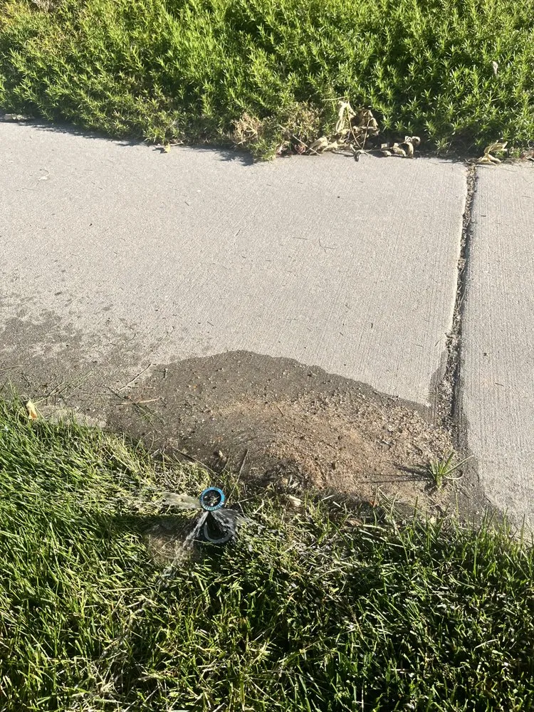 Custom landscape installation for beautiful yards across Meridian, ID - Zach’s Lawn Maintenance