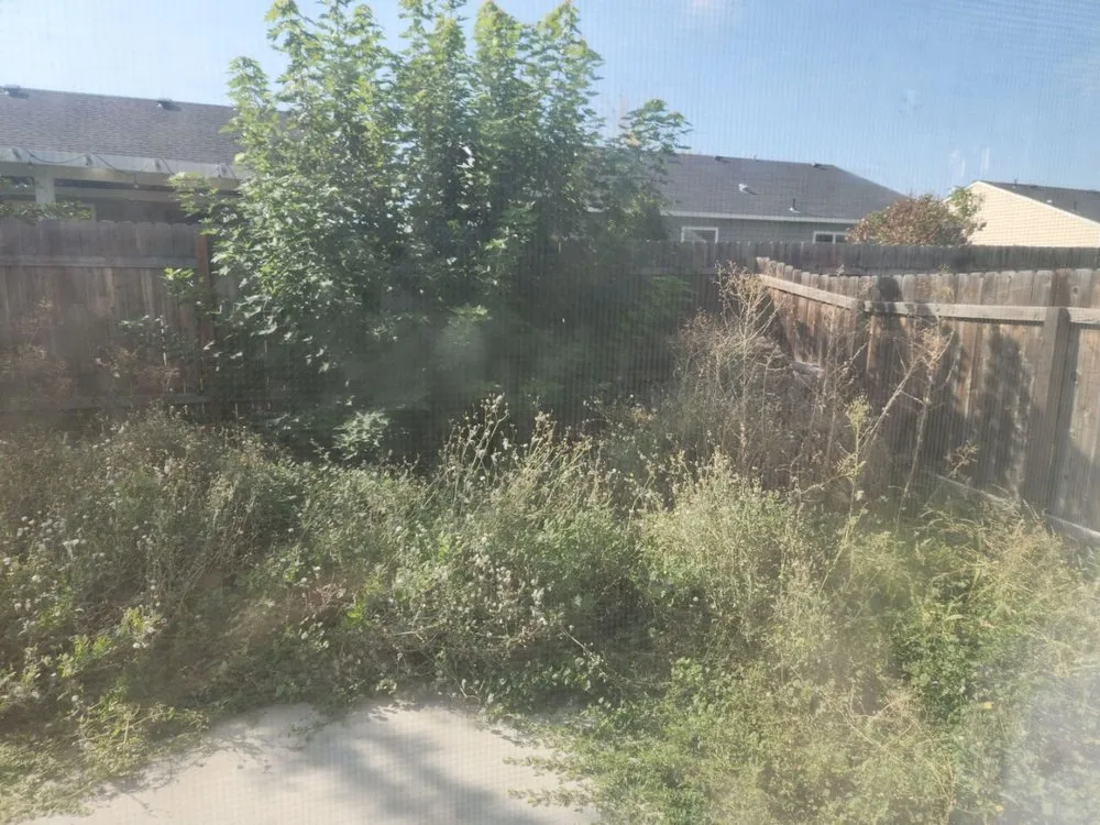 Top-rated landscape design in Meridian, ID - Zach’s Lawn Maintenance