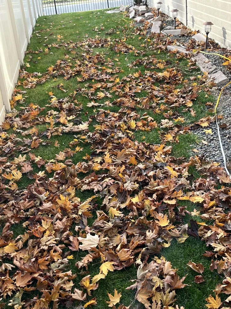 Trusted outdoor landscaping for homes in Meridian, ID by Zach’s Lawn Maintenance