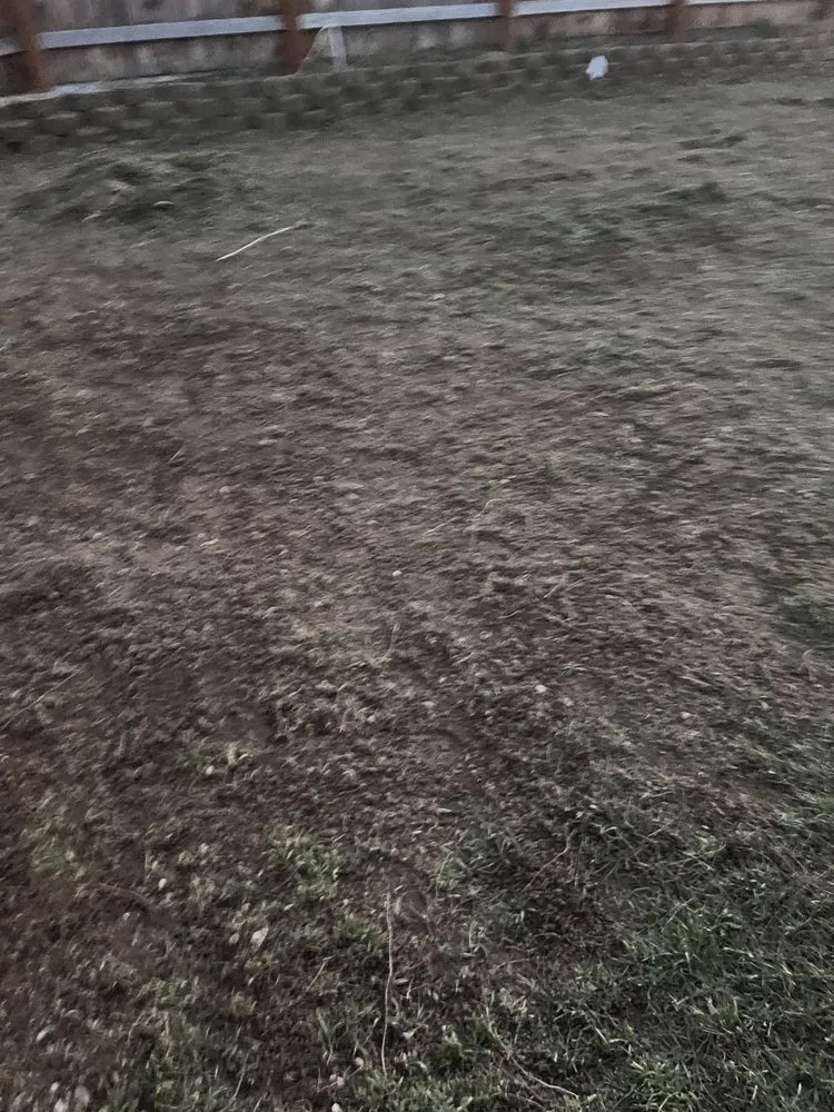 Reliable landscape design experts serving Meridian, ID - Zach’s Lawn Maintenance