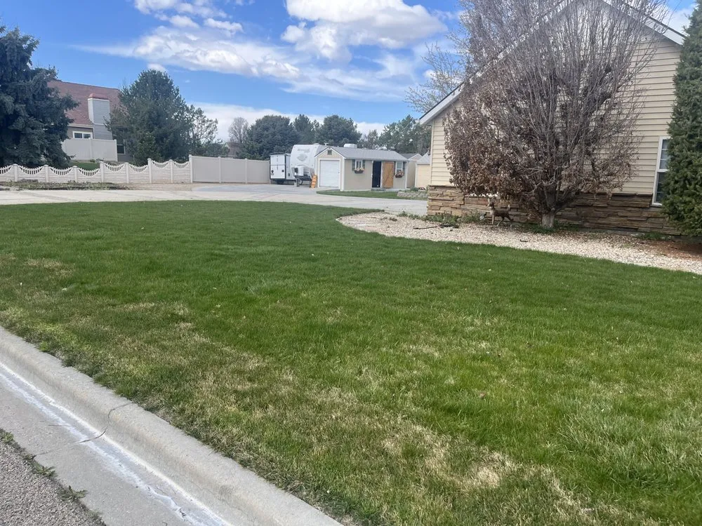 Top-rated lawn care service in Meridian, ID by Zach’s Lawn Maintenance