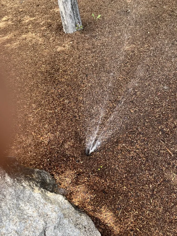 Expert garden landscaping experts serving Meridian, ID - Zach’s Lawn Maintenance