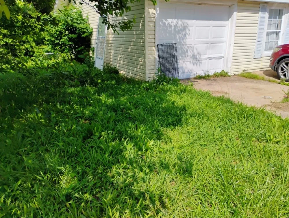 Affordable landscaping services in Lebanon, MO - Zach's Mowing