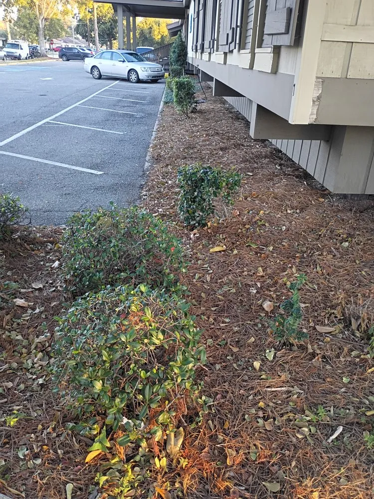 Expert landscape installation experts serving Antioch, CA - Zack Landscaping