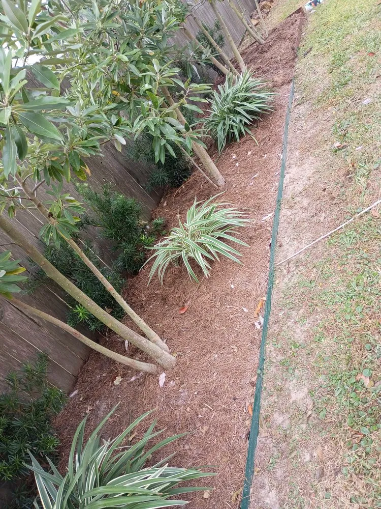 Affordable yard cleanup service near you across Antioch, CA - Zack Landscaping