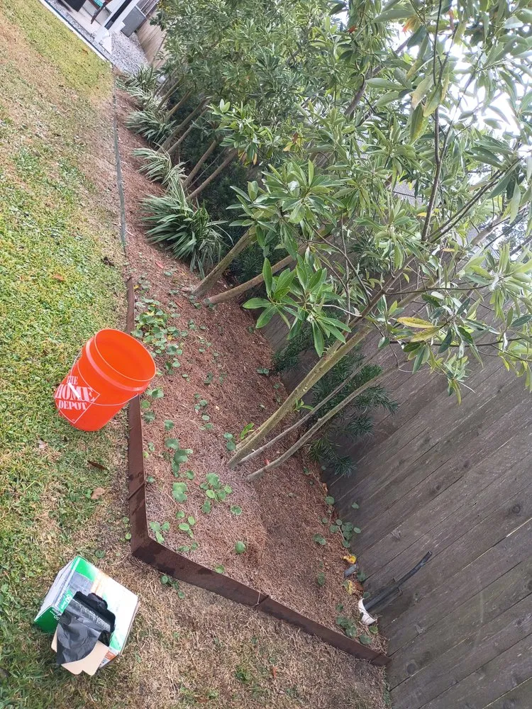 Top-rated yard cleanup service in Antioch, CA by Zack Landscaping